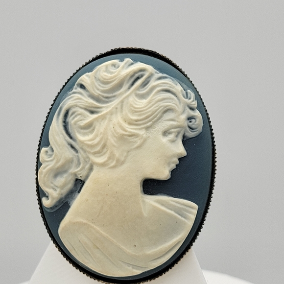 Stunning Vintage Cameo C-Clasp Brooch in Blue and Cream - Picture 2 of 11